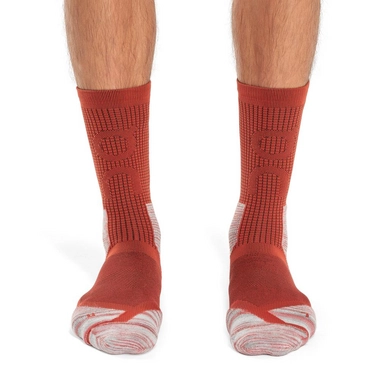 Small PNG-386.01195-explorer_merino_sock-ss23-chili_red-m-g1