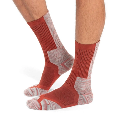 Small PNG-386.01195-explorer_merino_sock-ss23-chili_red-m-g3
