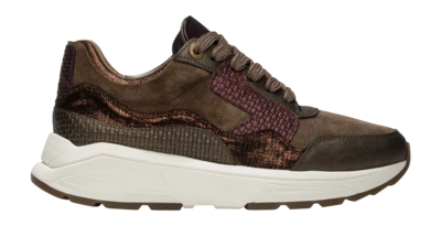 Sneaker Xsensible Women Golden Gate Stretchwalker Bronze Combi