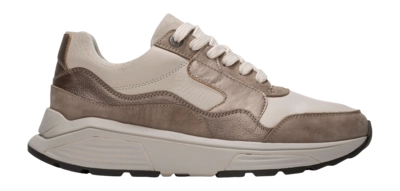 Sneaker Xsensible Golden Gate Stretchwalker Damen Taupe Combi