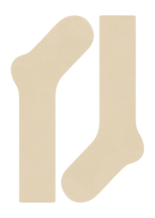4---1355898-62fd5cf499493-_no-bg