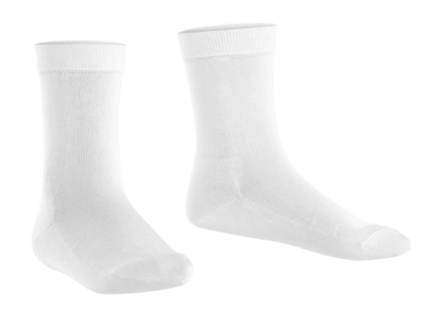 2---1281838-62d8607c5647b-_no-bg