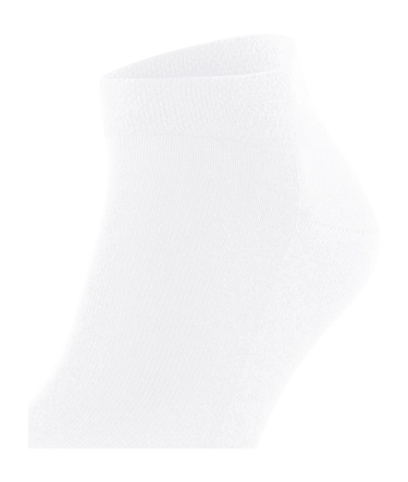 5---1337600-62d9c37a20df0