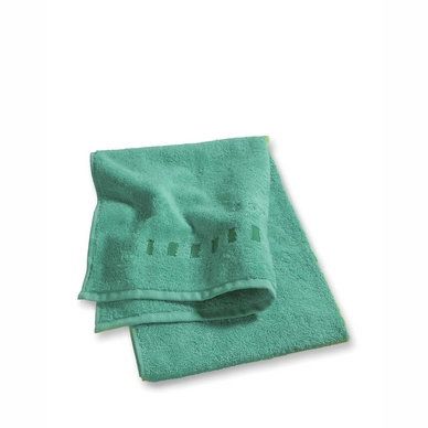Handdoek Esprit Solid Grass