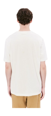 4---unnamed(82)-81387-_no-bg