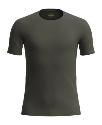 T-Shirt Icebreaker Men Anatomica SS Crewe Dark Loden