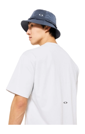FOA408796__20K_omdtl2