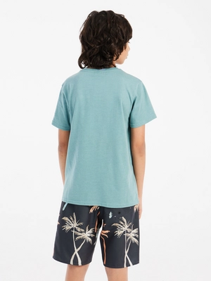 7---17851000_486_model_back-half_01