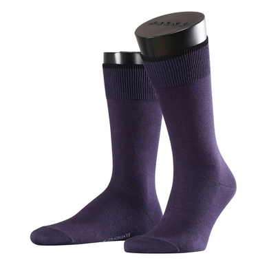 Sokken Falke Graduate Tanzanite