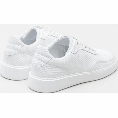 taylor-triangle-0700-wht_achter