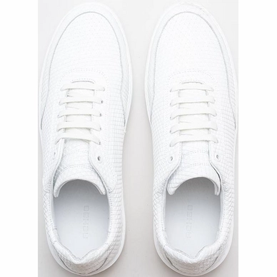 taylor-triangle-0700-wht_top