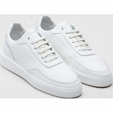 taylor-triangle-0700-wht_voor