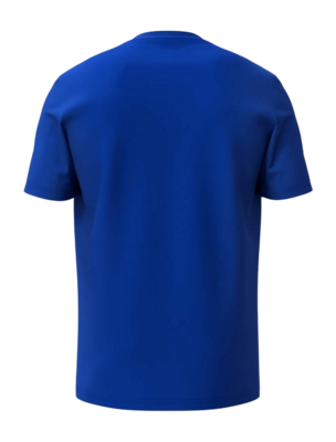 2---816203_CLUB_BASIC_T-Shirt_Junior_RO_2-_no-bg