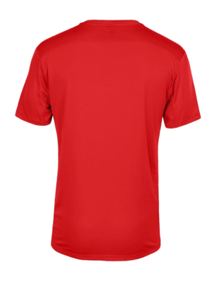3---695f702c85d9bdd277f7893f_T101530-RUBRED-3