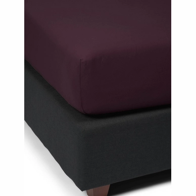 the_perfect_organic_jersey_fitted_sheet_burgundy_409587_103_275_lr_s1_p