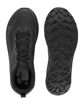 311685_9999_amplux2gtx_05