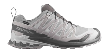 Trailrunning Schoen Salomon Men XA Pro 3D V9 Gtx Alloy / Castlerock Trail