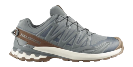 Trailrunning Schoen Salomon Men XA Pro 3D V9 Sedona Sage / Coyote Brown Gtx Lifelong M Trail