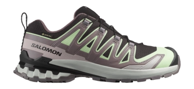 Trailrunning Schoen Salomon Women XA Pro 3D V9 GTX Black / Patina Green / Gray Violet