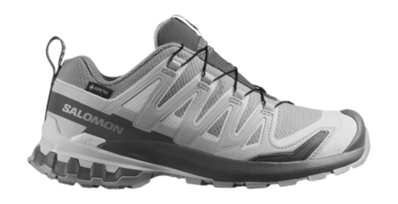 Trailrunning Schoen Salomon Women XA Pro 3D V9 Gtx W Alloy / Castlerock Trail