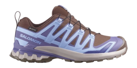 Trailrunning Schoen Salomon Women XA Pro 3D V9 Gtx W Dark Earth / Brunnera Blue Trail