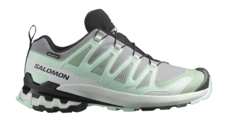 Trailrunning Schoen Salomon Women XA Pro 3D V9 Gtx W Quiet Shade / Lily Pad