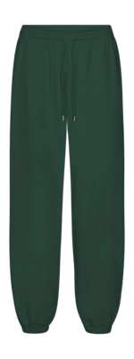 Pantalon de Survêtement Colorful Standard Unisex Organic Relaxed Sweatpants Emerald Green