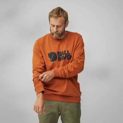 4---Fjallraven_Logo_Sweater_M_84142-243_H_MODEL_FJR