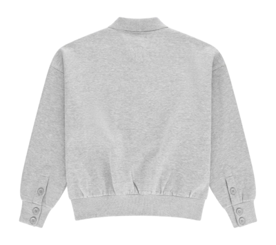 2---APP00235_9003_2_Men_Polo_Sweater_Heather_Grey-_no-bg