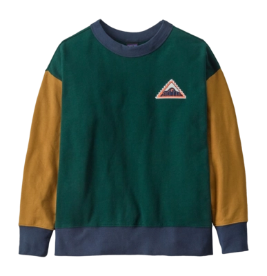 Trui Patagonia Kids Crew Sweatshirt Driftways Patch: Cascade Green
