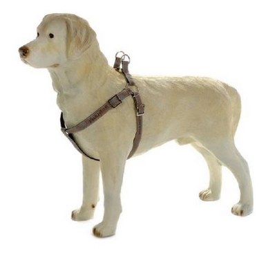 Hondentuig Beeztees Envy Phantom Nylon Bruin