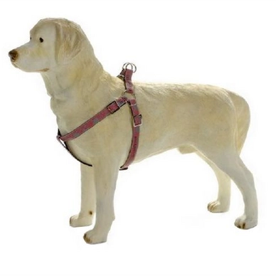 Hondentuig Beeztees Envy Phantom Nylon Rood