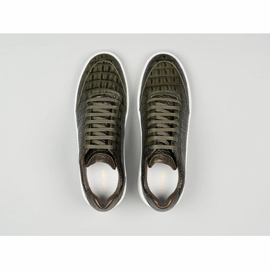 tygo-ii-croco-421-6800-dgrn_top