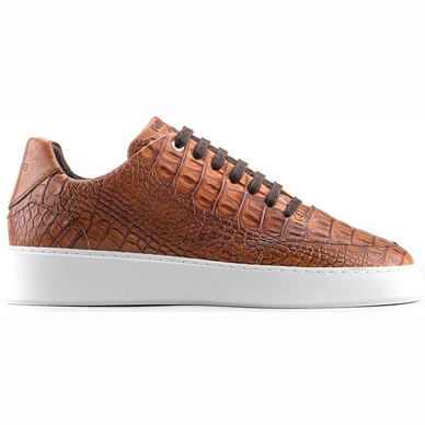 Baskets Rehab Men Tygo II Croco Marron