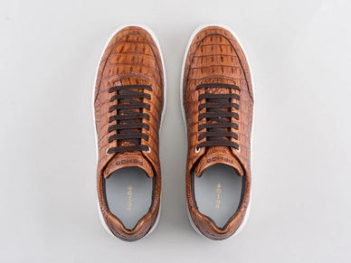 tygo-ii-croco-421-8000-brwn_topdown