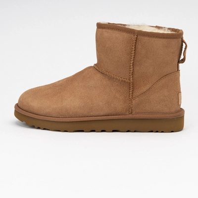 Boots UGG Women Classic Mini II Chestnut