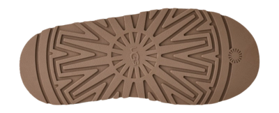 6---1174471-CHE_7-_no-bg