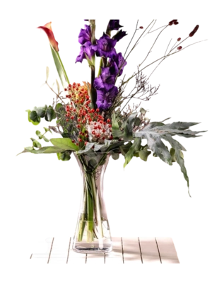 7---025372_6_K_f542b98f-5ce5-4627-8819-818a9d29ec61-_no-bg