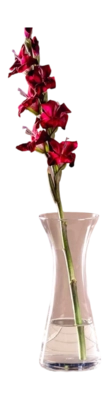 9---025372_5_K_dacdecfe-db19-4561-bbdd-703977548eff-_no-bg