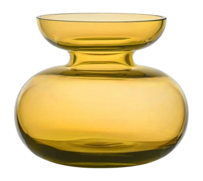 Vaas Zone Denmark Inu Amber 11 x 9 cm