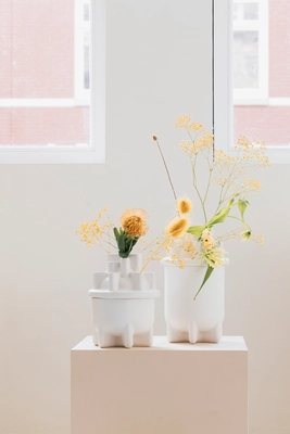 6----Bassin vases 8200042_23