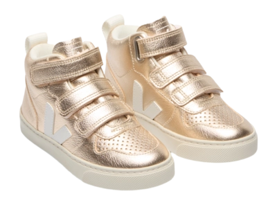 2---eeoDV0503037_2_large-_no-bg