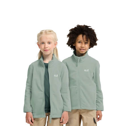 10---A65888_E0272_1-ma100-taunus-100-fz-k-green-zinnia