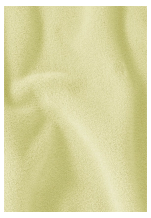 3---A65796_M0087_9-a130-taunus-100-fz-w-daisy