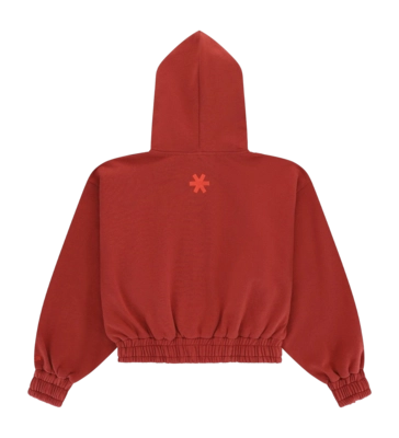2---APP00237_4033_2_Women_Full_Zip_Hoodie_Cropped_Brunette-_no-bg