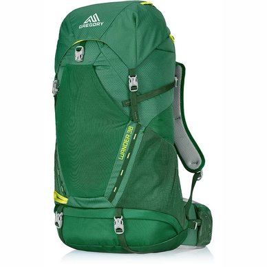 Backpack Gregory Youth Wander 30 Platoon Green (Adjustable)