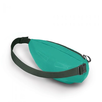 waist teal 2