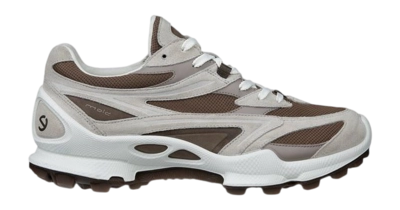 Walking Shoes Ecco Men Biom C-Trail Gravel/Taupe/Moon Rock