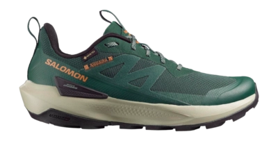 Wandelschoen Salomon Men Elixir Activ GTX Scarab / Green Gables / Chili Contagrip