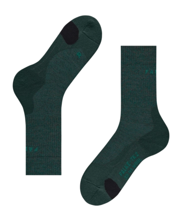 4---1803368-7427892009541